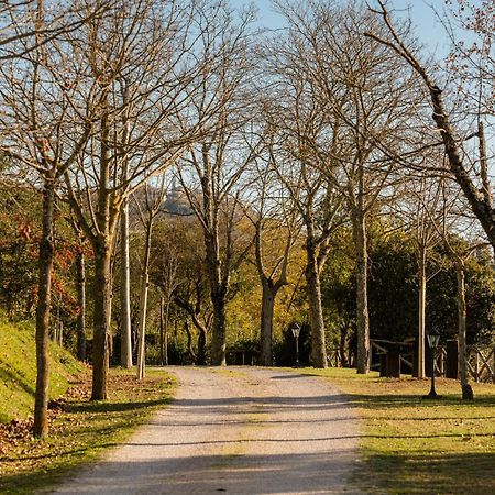Agriturismo Le Cerque Collazzone Eksteriør bilde