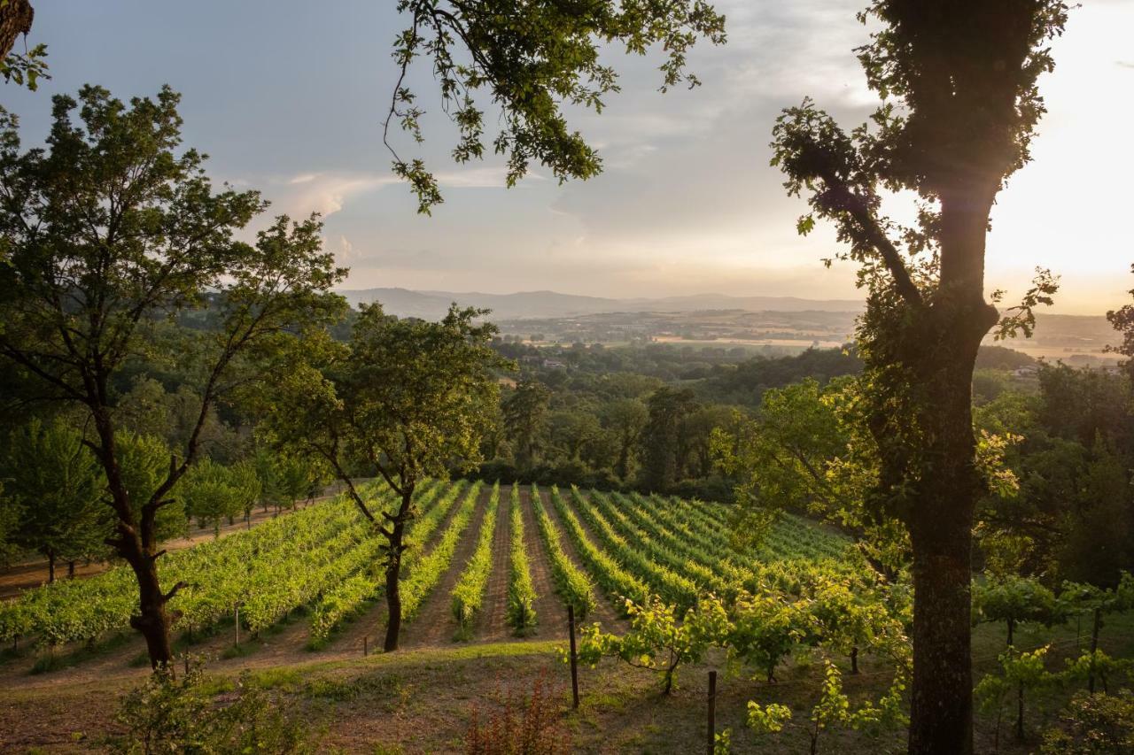 Agriturismo Le Cerque Collazzone Eksteriør bilde